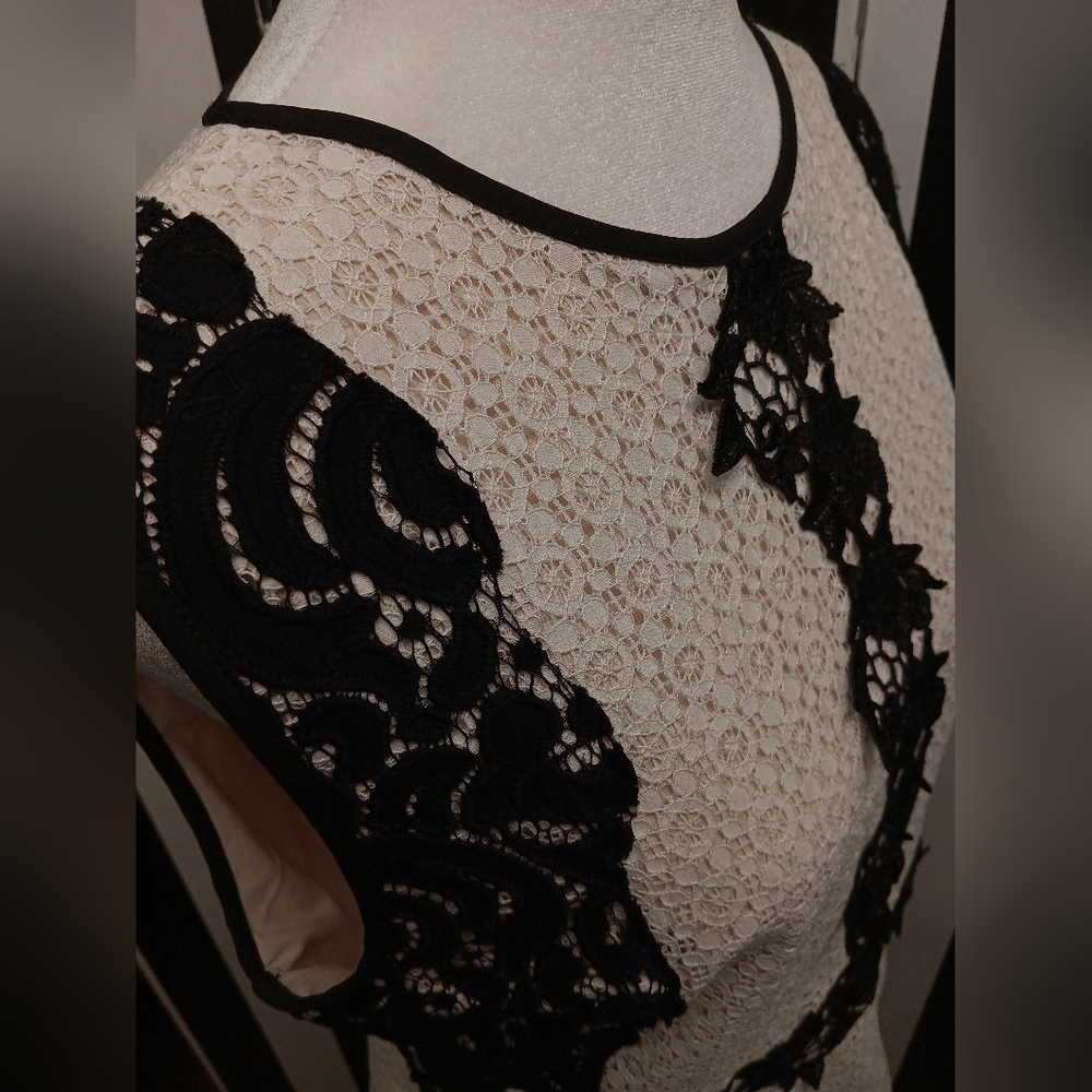 Antonio Milani lace top - Picture 5 of 8